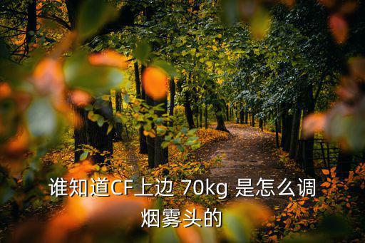 谁知道CF上边 70kg 是怎么调烟雾头的