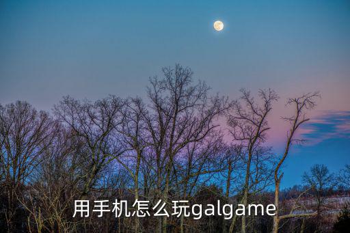 用手机怎么玩galgame