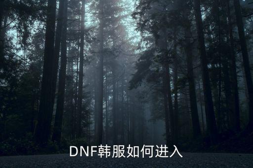 DNF韩服如何进入