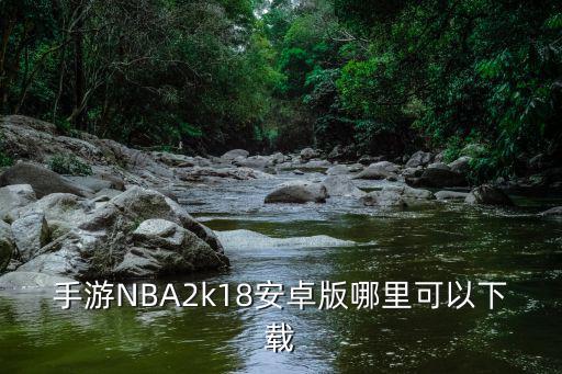 手游NBA2k18安卓版哪里可以下载