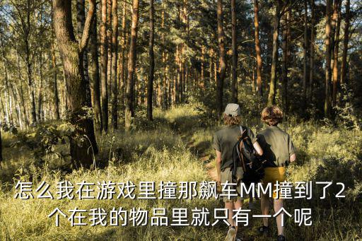 怎么我在游戏里撞那飙车MM撞到了2个在我的物品里就只有一个呢