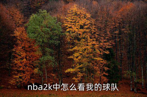 nba2k中怎么看我的球队