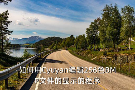 如何用Cyuyan编辑256色BMP文件的显示的程序