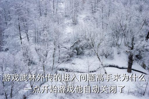 游戏武林外传的进入问题高手来为什么一点开始游戏他自动关闭了