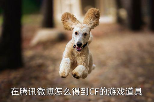 在腾讯微博怎么得到CF的游戏道具