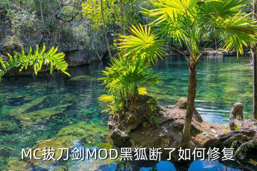 MC拔刀剑MOD黑狐断了如何修复