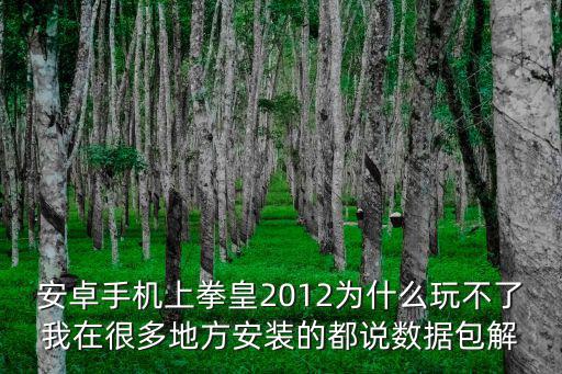 安卓手机上拳皇2012为什么玩不了我在很多地方安装的都说数据包解