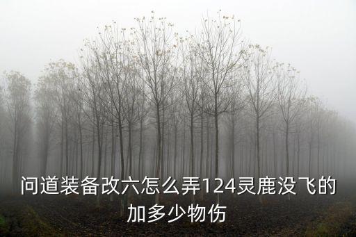 问道装备改六怎么弄124灵鹿没飞的加多少物伤