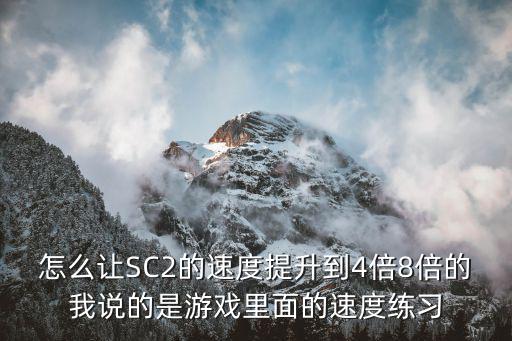 怎么让SC2的速度提升到4倍8倍的我说的是游戏里面的速度练习