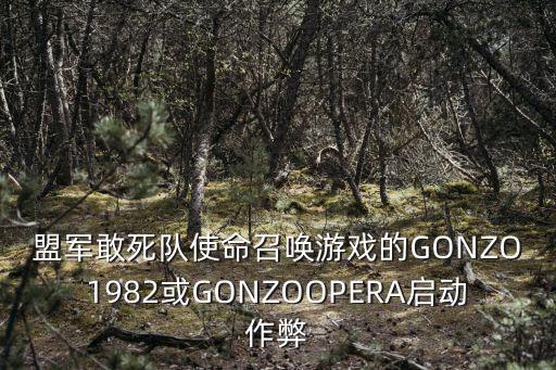 盟军敢死队使命召唤游戏的GONZO1982或GONZOOPERA启动作弊