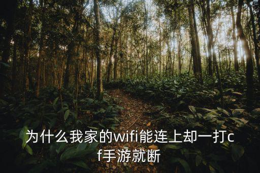 为什么我家的wifi能连上却一打cf手游就断