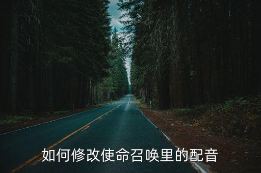 如何修改使命召唤里的配音