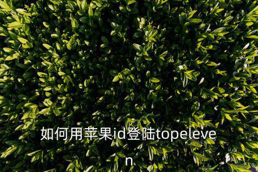 如何用苹果id登陆topeleven