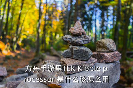 方舟手游里TEK Kibble processor 是什么该怎么用