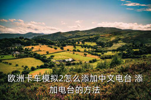 卡车模拟2手游怎么调中文，欧洲卡车模拟2怎么添加中文电台 添加电台的方法