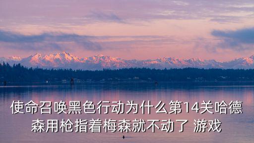 使命召唤黑色行动为什么第14关哈德森用枪指着梅森就不动了 游戏