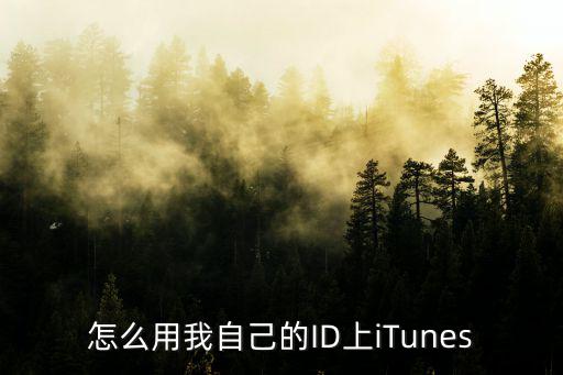 怎么用我自己的ID上iTunes