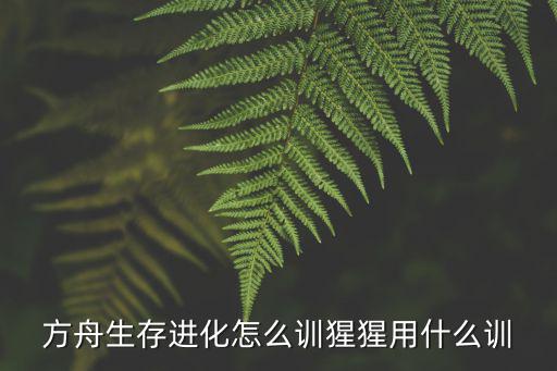 方舟生存进化怎么训猩猩用什么训