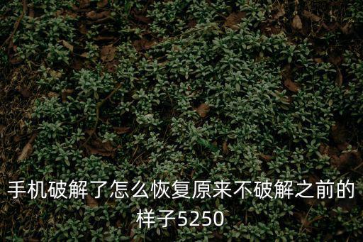 手机破解了怎么恢复原来不破解之前的样子5250