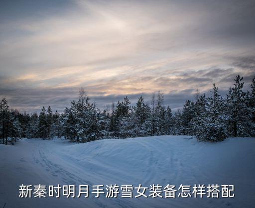 新秦时明月手游雪女装备怎样搭配