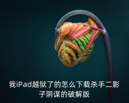 我iPad越狱了的怎么下载杀手二影子阴谋的破解版