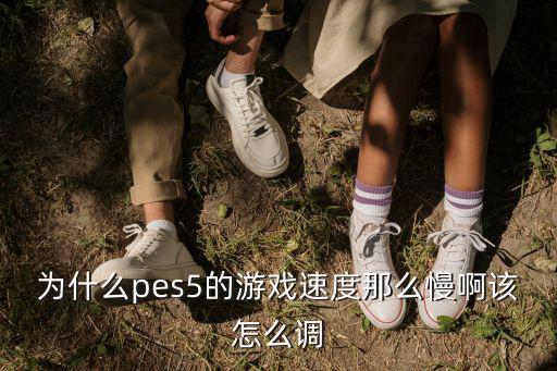 为什么pes5的游戏速度那么慢啊该怎么调