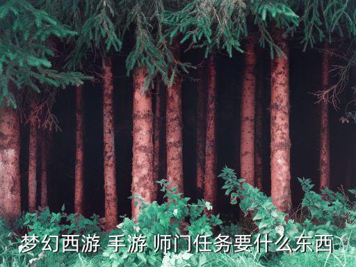 梦幻西游 手游 师门任务要什么东西