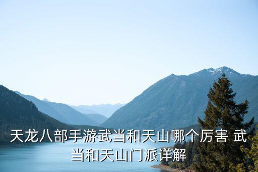 天龙八部手游天山和武当怎么选，天龙八部游戏中 武当天山哪个好