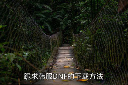 跪求韩服DNF的下载方法