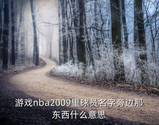 游戏nba2009里球员名字旁边那东西什么意思