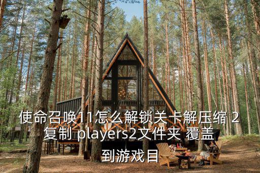 使命召唤11怎么解锁关卡解压缩 2复制 players2文件夹 覆盖到游戏目