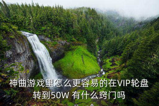 神曲游戏里怎么更容易的在VIP轮盘转到50W 有什么窍门吗