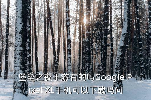 堡垒之夜手游有的吗Google Pixel XL手机可以下载吗问