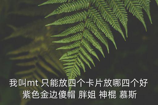 我叫mt 只能放四个卡片放哪四个好 紫色金边傻帽 胖姐 神棍 慕斯