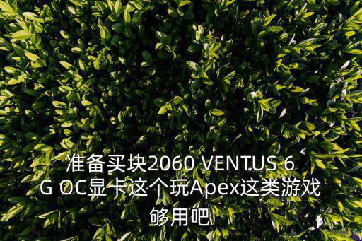 准备买块2060 VENTUS 6G OC显卡这个玩Apex这类游戏够用吧