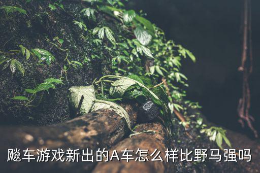 飚车游戏新出的A车怎么样比野马强吗