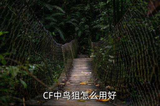 CF中鸟狙怎么用好