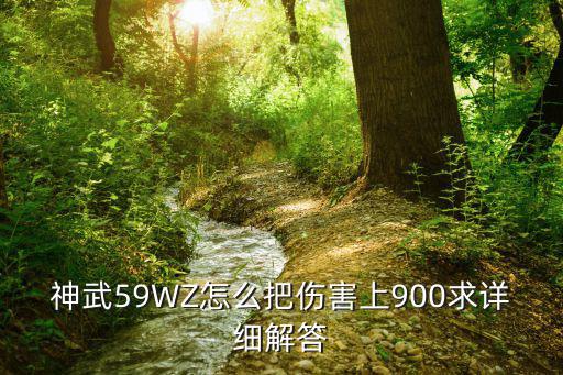 神武59WZ怎么把伤害上900求详细解答