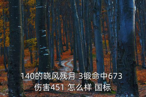 140的晓风残月 3锻命中673 伤害451 怎么样 国标