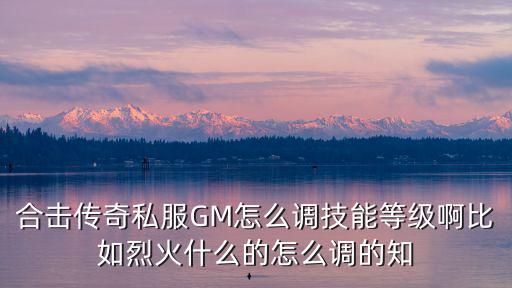 合击传奇私服GM怎么调技能等级啊比如烈火什么的怎么调的知