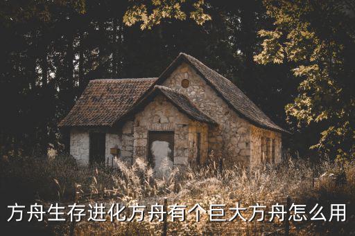 方舟生存进化方舟有个巨大方舟怎么用