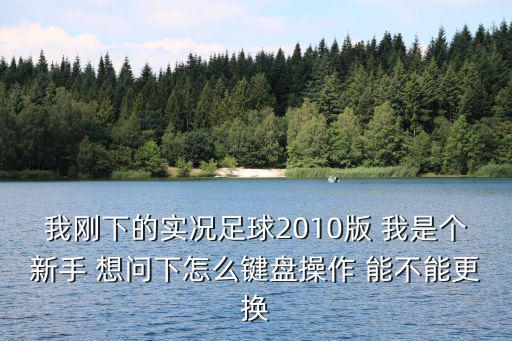 我刚下的实况足球2010版 我是个新手 想问下怎么键盘操作 能不能更换