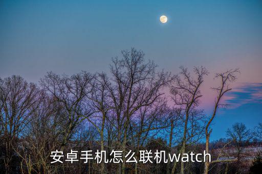 安卓手机怎么联机watch