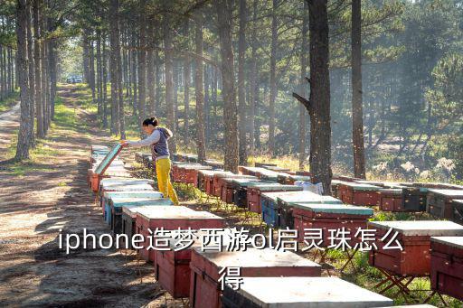 iphone造梦西游ol启灵珠怎么得