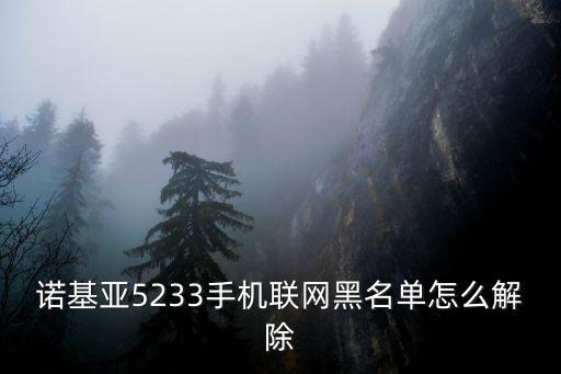 诺基亚5233手机联网黑名单怎么解除