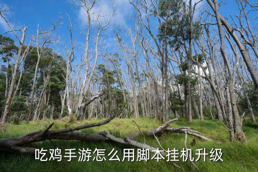 吃鸡怎么开挂手游，手机吃鸡手游能开挂吗