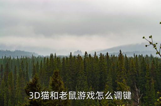 3D猫和老鼠游戏怎么调键