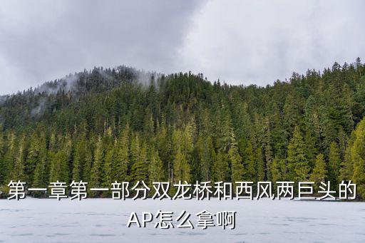 第一章第一部分双龙桥和西风两巨头的AP怎么拿啊