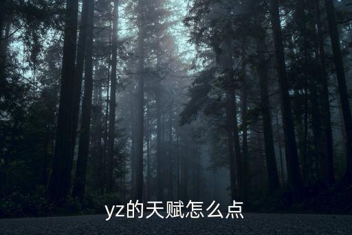 yz的天赋怎么点