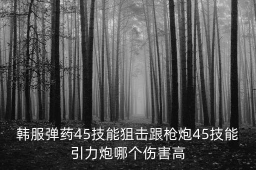 韩服手游枪炮怎么样，韩服弹药45技能狙击跟枪炮45技能引力炮哪个伤害高